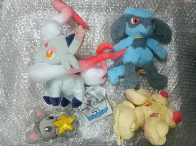 这次合单和海运的速度都还不错，海关通关也相对比较快。万圣节皮卡丘比我想象中可爱。本来以为索罗亚是无牌的，结果有牌，虽然折了，但还是感谢卖家。