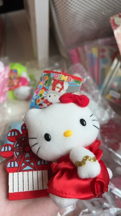 第25箱，发的船运，耗时二十多天，这箱买的都是大件的毛绒，体积大。但是海关放行的也很快～体验感不错～也没有破损的情况