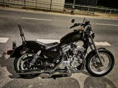 东西的质感很棒，到手后的价格也很舒服，装上我的哈雷883，整体气质马上变帅了。太棒了！(*'▽'*)♪