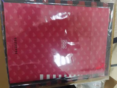 虽然只是两张场刊，但是不论是卖家还是客服的包装都用心了。拿到之后一点损坏都没有，总的来说是一次非常好的购物体验