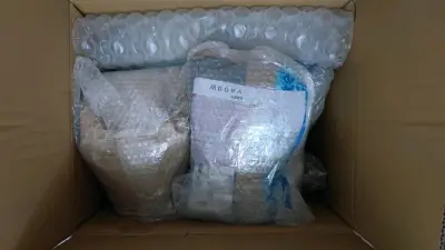 又又又来淘宝可梦毛绒啦，真的爱死宝可梦毛绒了，这次主角是初梦系列的润水鸭还有这个等身大的水水獭，终于是凑齐了朱紫初梦系列的御三家，只不过这次的初梦系列尺寸也太小了，这是比较失望的一点，除了这个以外，像朱书紫书也是，比前作的设定集也是小了很多很多。
我一直很喜欢等身大...