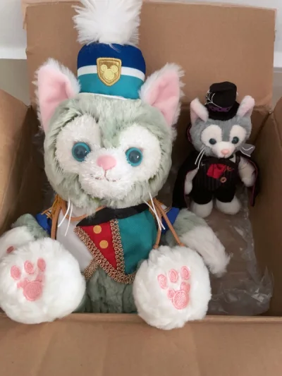 这次买的还是迪士尼娃娃，娃娃很新状态很好很喜欢，快递也很快，10几天就收到了，娃们包装得很好，满意！