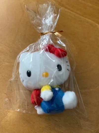 背着书包的可爱kitty肉嘟嘟的 紫色格子裙kitty很公主哦！手机链也很喜欢！最近竹蜻蜓审核变快很多 就照这个速度保持加油！