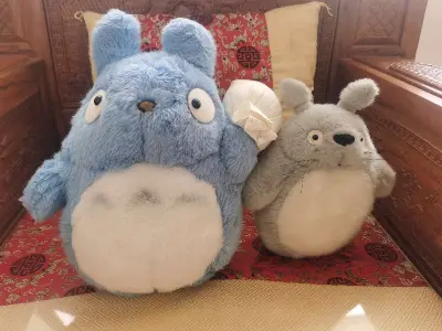 7.16号发出，8.19号收到，共计34天。还是很快的一次海运了！也没有被海关卡，无申报通关！希望下次继续！重量10825g，运费426r。含部分日本国内运费。老料龙猫真的超可爱！很意外能收到这么大只的蓝色龙猫！价格超级实惠哈哈哈哈～