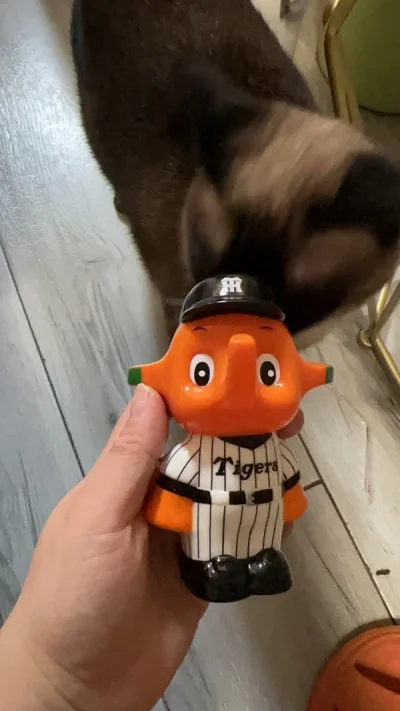 都不错 很喜欢 是一次愉快的购物 基本上和图片看见都一样 还有包装很好 没有失望 实物很图片一样哦 满意