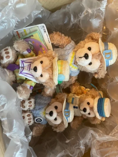 这是挖煤以来第一次使用竹蜻蜓，刚开始担心打包完会很重，就有了这次的试水。从开始有国际物流到收到熊仔一共花了14天，对于有少量多次需求的人来说还是不错的。