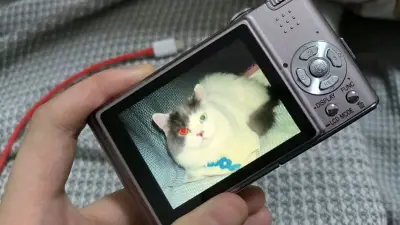 第一次用，在某鱼看了很久 ccd，偶然得知挖煤姬物品有保障大脑一热下单了，虽然花了不少自己不知道有这项的费用，但是 ccd 成色很新出片很美也值了?