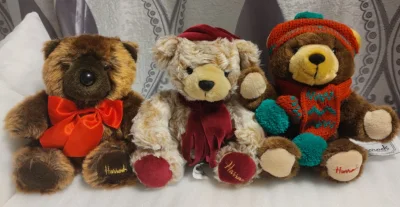 买的熊熊船运到家啦，竟然很快，物流满满一大箱，很重，好几只都在里头，很壮观的样子，每只都各有特色，整体非常可爱，让人看了很快乐，手感也是杠杠好，已经抱起来不放手了，还会来看熊熊，开心?