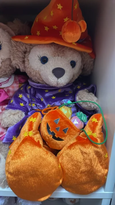 这一单有两只二手雪莉玫公仔，还有迪士尼春日的大徽章，徽章比较少见，所以比打包价要贵一点，走竹蜻蜓运费超划算！