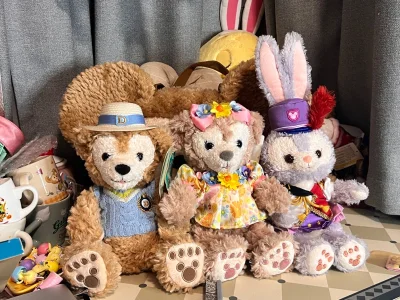 本期开箱：小废物-达菲爆米花桶（可斜挎），春日达菲玫玫ss三对（超级爱复数，真的都是甜甜脸蛋），万圣节系列南瓜达菲玫玫手拎包，35周年鼓号队露露ss。