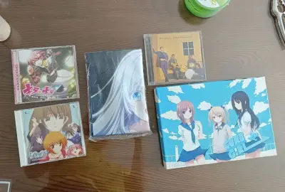 淘几张自己喜欢的CD，像ever17，musicus，小红莓之类的，虽然CD小盒子上中奖了，不过问题不大，质量还可以