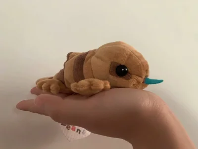 发现直接买日亚也很方便！！
继续在指南针疯狂蹲蹲毛绒娃娃

爬爬也太可爱了吧！！！什么小蓝舌头！！！