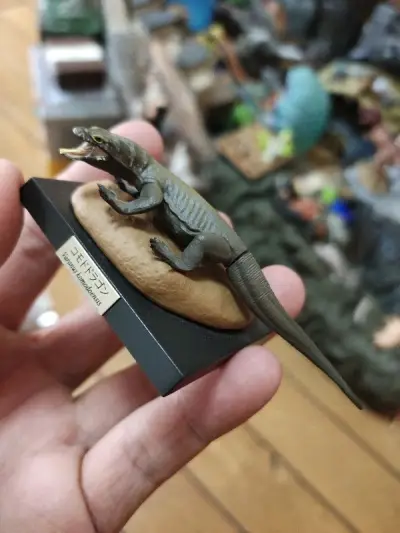 第七八百次购物体验了 实在太多了 记不住了 平台又扩大经营了 更新了好多次 恭喜恭喜 东西实在太好了 特别这套蜥蜴简直神物 会一直买下去 美中不足 现在基本上每件必税了 海关收了好多钱