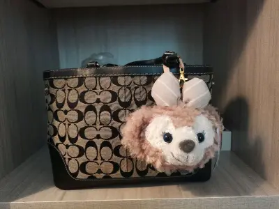 coach黑银色老花托特包，我等了它好久，它很漂亮，我很喜欢，爱不释手，感谢卖家出售给我，挂上小挂件显得很可爱