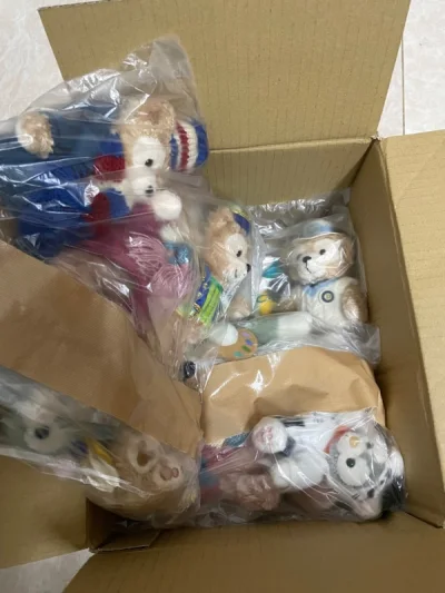 这次选了ep，速度快，但是金额和个数需要如实填写，税费自理，包装很好箱子没有变形，防护做的很到位，又收到心仪的崽崽们啦