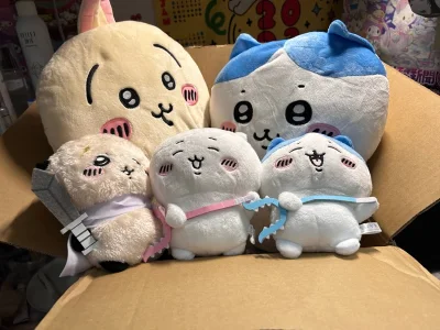 第一次用挖煤姬 很紧张 每天都看一眼物流 等了二十天终于到啦！竹蜻蜓审核的时间比较久 但是发货之后超快 一周左右就到手了 快递盒八角尖尖 感觉工作人员很用心?