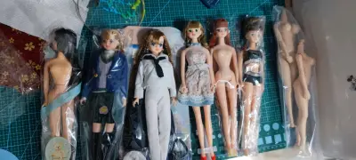 日淘很多次了，每一次都很满意!物品的质量都非常好，日本卖家对娃娃描述都很细心，每一个娃都跟描述完全相符。比在闲鱼买二手娃娃感受好多了。期待下一次日淘。