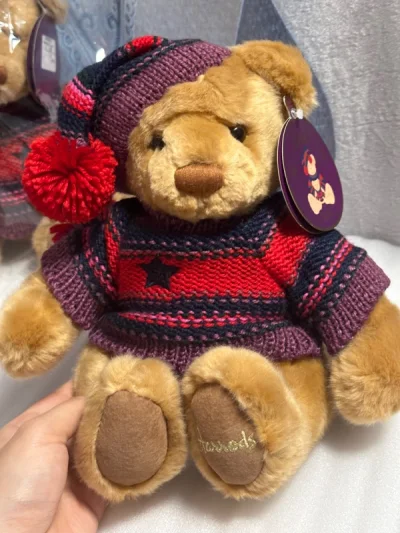 熊熊的可爱无人能及！经历了国内平台太多买卖的波折，心累了，还是在海淘上能获得满足，挖煤姬给了我快乐，熊熊得以让这种快乐延续，每只熊都是我的心头好，这只更是不例外，买过好多种还是这种最好看，很治愈的力量，挖煤姬真是拯救生活好帮手，审核再快一点就更好了。