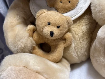 可爱的熊仔仔和他的小宝贝到了，柯基犬更能萌化你心，这个手感真的绝了，不买都不行，摸起来非常衬手，小仔仔太可爱了，喷了酒精放在柜子里，美美哒摆起来，另外包装很好，东西干干净净安全抵达！对了，叉子勺子也很有分量哦