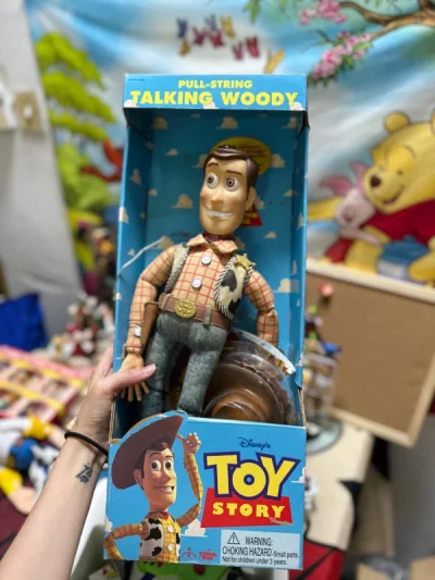 这一堆是海运，差不多25天左右到手，迪士尼up重度爱好者～终于找到thinkway 1995年出的胡迪和巴斯，胡迪发声功能正常，真的很惊喜，巴斯品相完美，真的好爱中古玩具，挖煤姬再多来点活动就更好啦！！！