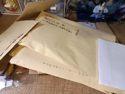 这次的包裹十分的丝滑，本来以为要赶不上自推生日了，结果还好及时在摆阵前收到切煤的吧唧，每次切煤都能回收一堆纸板当做自己的打包材料，还省了去pdd买纸板的钱，赢麻了