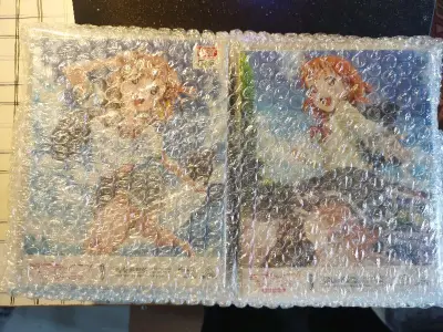 花了一个月左右时间到手，感觉也不算太慢，这次也平安下车，泡泡纸给的虽然少但也足够了，并未出现明显撞角的情况。