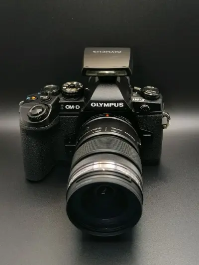 这台EM1一代是我从挖煤姬买的，两千多元的购买的全套，机器还算新，快门1w多，作为一个新入坑的m43新玩家，后续也可能会慢慢更新一些使用心得跟感受吧。
回到机器本身，机器上手的第一时间，我就直接拿出去试拍了，轻便的旗舰机给了我很大的带它日常出门的欲望，1600w像素...