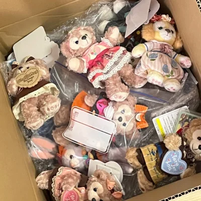 这箱主要是在挖煤姬切的迪士尼毛绒公仔挂件，卖家包装比较厚实，平台发货包装也很好，ems物流很快这次大概3天就送到了，只要熬过合单审核就快啦哈哈哈，下一箱继续！