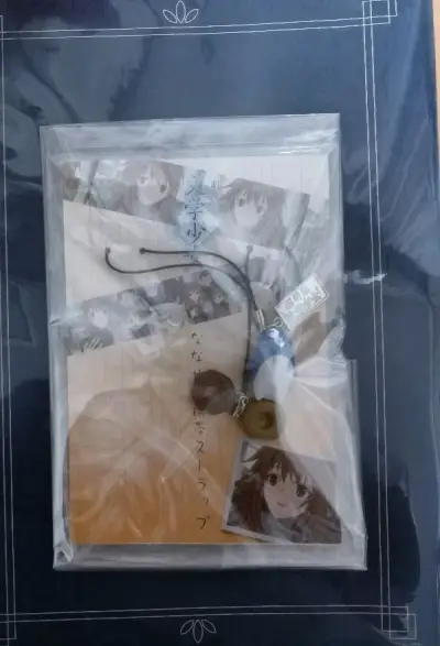 这次应该是最便宜最轻费用最少的一次，之前遇上手续费全免，果断把这些只有几百日元的东西买了，比95折划算多了，本来是屯着想跟其他东西一起发的，结果遇上运费92折，果然寄出，正式买前买后都优惠～