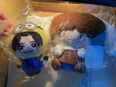 收到好大一箱，主要是有两个抱枕和两个娃。小八银发 bot小卡和眉笔的相卡是真的很美貌，小黄人一代也可爱哭哭，海运比我想象中快很多，包裹内超多泡沫纸，安全感十足。