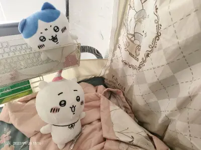 阿阿阿第一次买，等得特别特别心酸和担心，但是好在宝宝们都到了！！太可爱了我哭死…˚₊✩‧₊(⌯͒o̶̶̷̤ ꀾ o̴̶̷̤⌯͒)* ✩‧₊˚