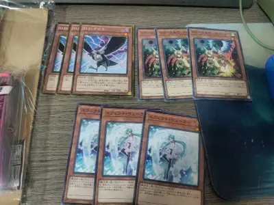 这次收了点泛用手坑，只不过锁鸟还没寄回来就刻了，不过价格也还行，整体不亏。好价收了些rd的卡套，比起o的确实便宜太多了，我直接爽收（