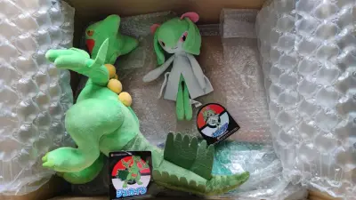 来和大家分享我的宝可梦毛绒海淘开箱啦。这次这一箱是我最喜欢的一批了。
首先就是这俩绿绿的御三家了，蛇和蛙都是我非常喜欢的御三家，而且这次到手之后发现这俩都好大一只，我还一直想要整一只mega蜥蜴王可惜一直没刷到。还有同样是绿绿的奇鲁莉安，这次也是蹲了个好价。鬼灯也是...