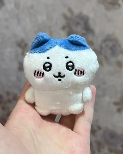 收到快递迫不及待的拆开啦 快递包装的特别有安全感 气泡纸给的很足 到手rua一rua就特别可爱！以后淘chiikawa就在挖煤姬啦