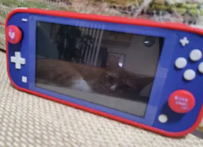 运气太好了，橙色不错，安全下车。卡带也是箱说全，但是给大家提个醒，貌似switch过关必被检查，含有它的包裹千万别超额啊，老老实实交税吧