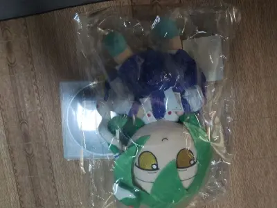 这次买的是早苗fumo，走的航空便，跟ems时效差一点，不过也是很快了，大概是9天左右，包裹很厚实，到手无破损，很满意。