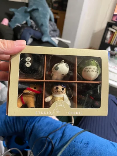 这次那个买到少见的宫崎骏周边！超级可爱的！

谢谢挖煤姬的包装严实，可以放心买买买！而且下单超级方便好用！