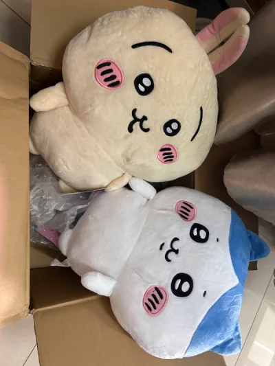 淘了两个chiikawa的背包玩偶 特别可爱特别好捏呜呜呜 不枉费我等待了快一个月 快递包的很有安全感 气泡纸给的足足的 