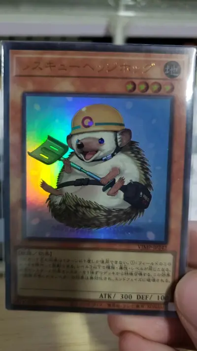 收点打牌卡，买了枪王中表了。。这次看画的卡多，尝试买了个卡堆，还是不太建议，损的不少，一般。
还行吧