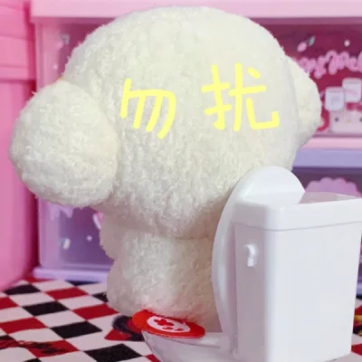 小麦云好乖啊，拘谨系列跟马桶?适配度max！打算集齐其他的这个系列，大家一起排排上厕所吧?