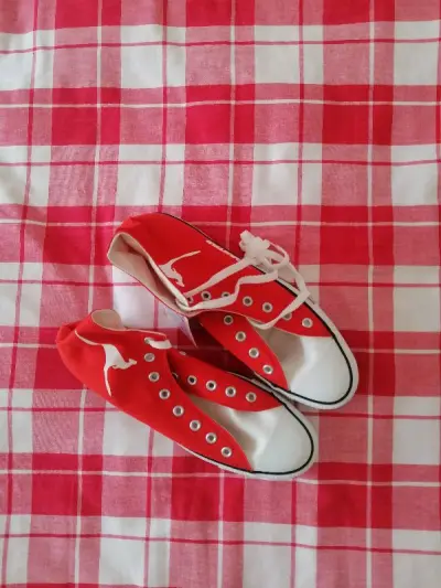 一款不对外市售的鞋款，全靠抽选得来的货，六大航空公司联名款。普通的红色带上了澳洲航空袋鼠元素显得格外有趣。周边小内裤也跟有爱