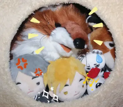 有了app随时可以自己切煤真的很快乐，不用再等代切半天不回复，拼邮回国又慢。只要不是大件的毛绒，小毛绒回国走竹蜻蜓真的又快又便宜！开心！