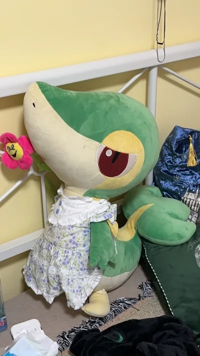 称出2kg重量的时候吓了一跳！但其实没有影响任何流程～～就是国际邮费贵了一些哈哈哈哈（我因为要搬家选择了航空，最后邮费接近300）箱子包装得总是超级好！！超级结实，专人配送，最后美美抱着藤藤蛇回家喽！