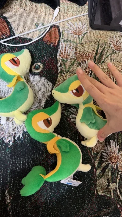 因为上一波十只满额啦（合单限十单）这三只又正好还在路上，于是等到全部到库后一起再次合单，发快递入国内了！这次选择了省心省力的竹蜻蜓！与其担心会被税还要让快递绕几个大圈子，竹蜻蜓一口气把税和快递都包啦，非常省心，速度也很快！！（我发现两次竹蜻蜓都是走的空运诶，有航班的...