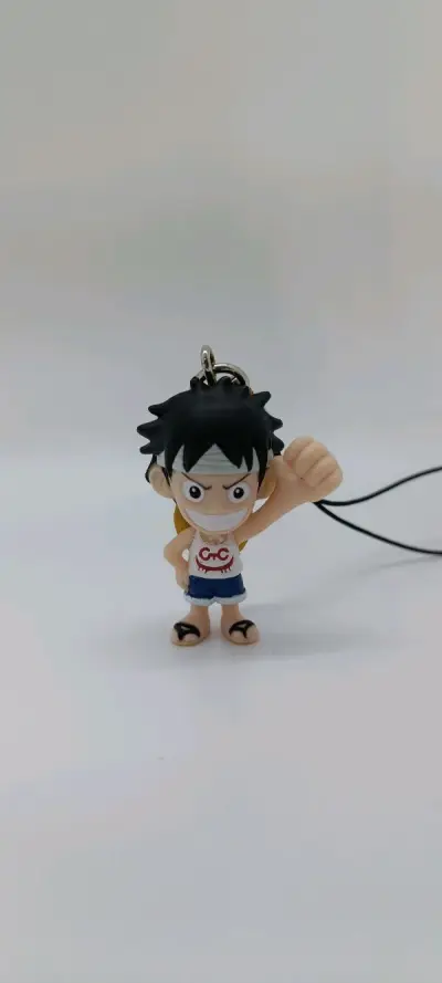 使用挖煤姬的非常大的一个乐趣就是你永远可以在上面发现新的惊喜。即使是你无聊打发时间，打开挖煤姬随缘刷一刷，都可以发现令自己感兴趣的东西。这一次就意外刷到了一套之前从未见过的海贼王钥匙扣，价格合理，果断拍下！