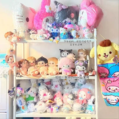 火速塞入我的展示架，这箱海运淘了很多melody的大娃，超值价格！！！喜欢暑了！！有易碎的收纳盒，即使没选加固也包装很好安全收到了嘻嘻，还会在挖煤姬无限回购滴！！