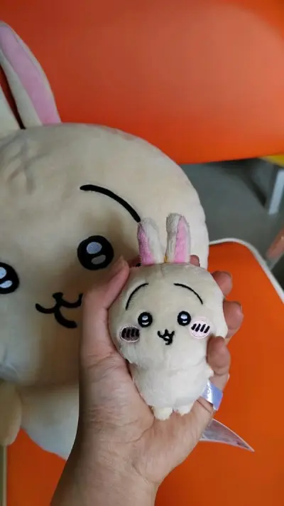 历时两周不到，顺利到港了！！！！包装得超级好，里里外外很完整地包了大概四层，虽然变重了但是拿到手的宝宝们很q状态很好，好感动。乌萨奇宝宝真的特别特别特别可爱，期待下次！！！