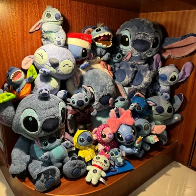 比较久远的挖煤经历啦，家里的史迪奇也是越来越多，这次一共是合了五单，一共八只仔仔顺利到家没有被税，挖煤姬体验感不错