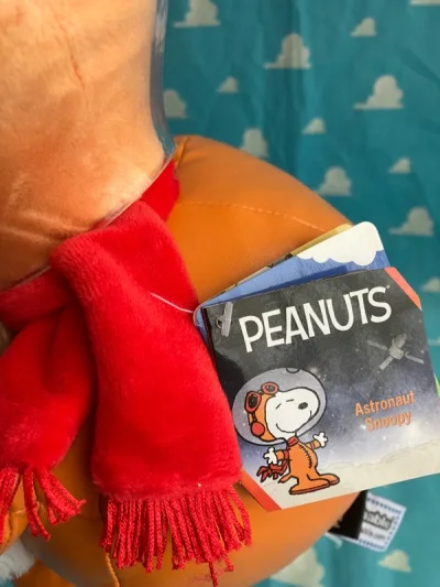 上周到的，东西不多，外箱干净无压坏，箱内物品无受损，泡泡纸保护到位，每个都有单独保护。期待下一件到来。