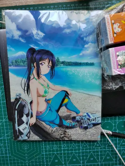 很喜欢这一批文件夹，这一套的文件夹的柄图特别特别特别可爱的捏，感谢挖煤姬圆梦感谢，很好的一个软件，很实惠，很满意，有任何问题都可以找客服，客服耐心解答